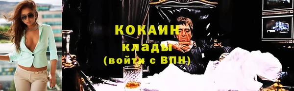 индика Чехов