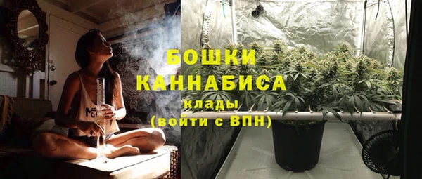 крисы Краснотурьинск