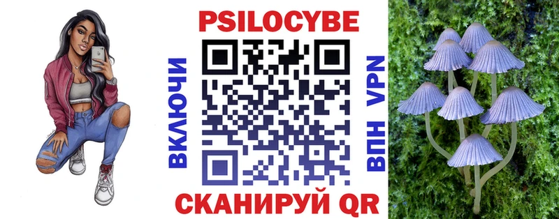Псилоцибиновые грибы прущие грибы  дарнет шоп  Мглин 
